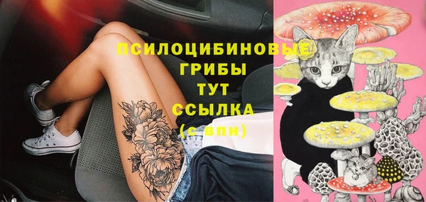 бутик Бородино