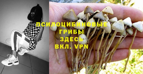 молекула духа Бугульма