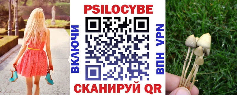 Псилоцибиновые грибы мицелий  Велиж 